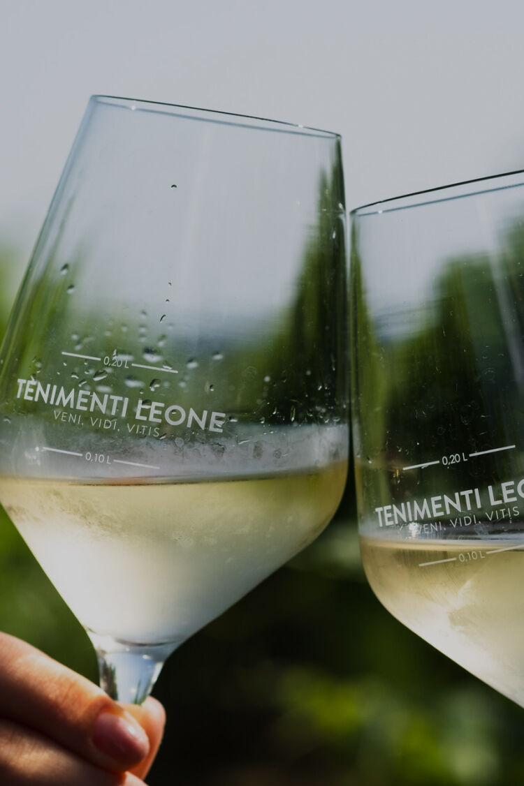 bio wines